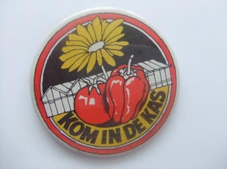 Kom in de kas promotie tuinbouw open dag bloemen, groenten